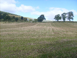 wp42e0cd24_0f.jpg